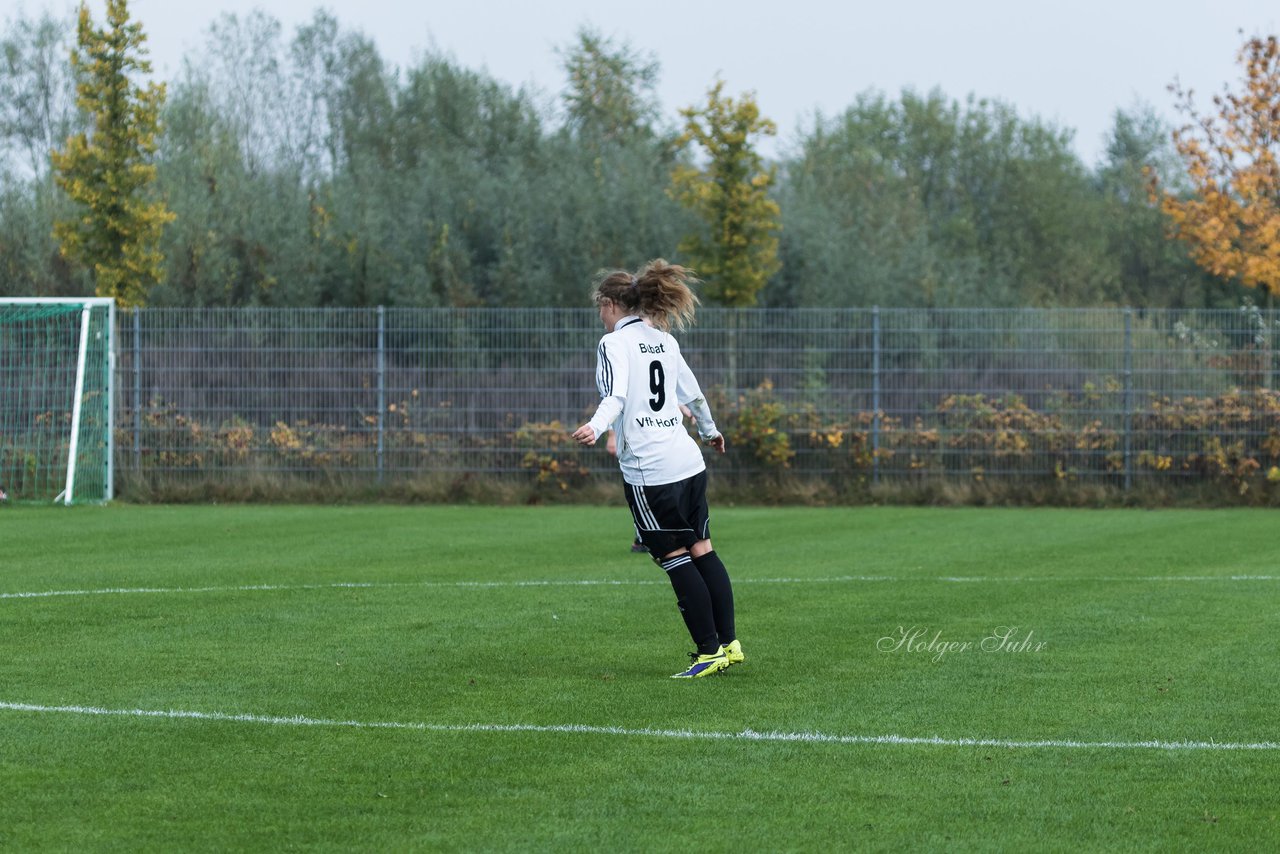 Bild 291 - Frauen FSC Kaltenkirchen - VfR Horst : Ergebnis: 2:3